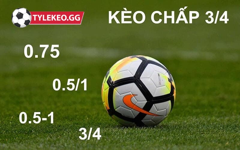Kèo Chấp 0.5 1 là kèo cược được các cao thủ yêu thích nhất hiện nay