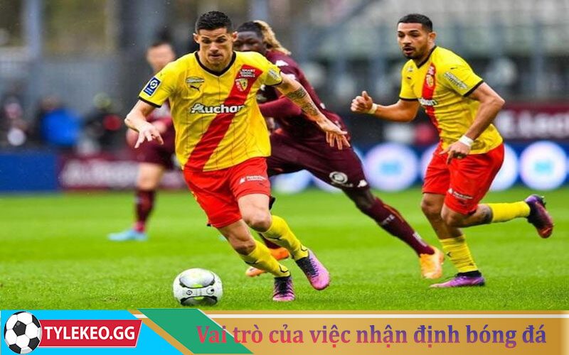 Vai trò và tầm quan trọng của việc nhận định bóng đá