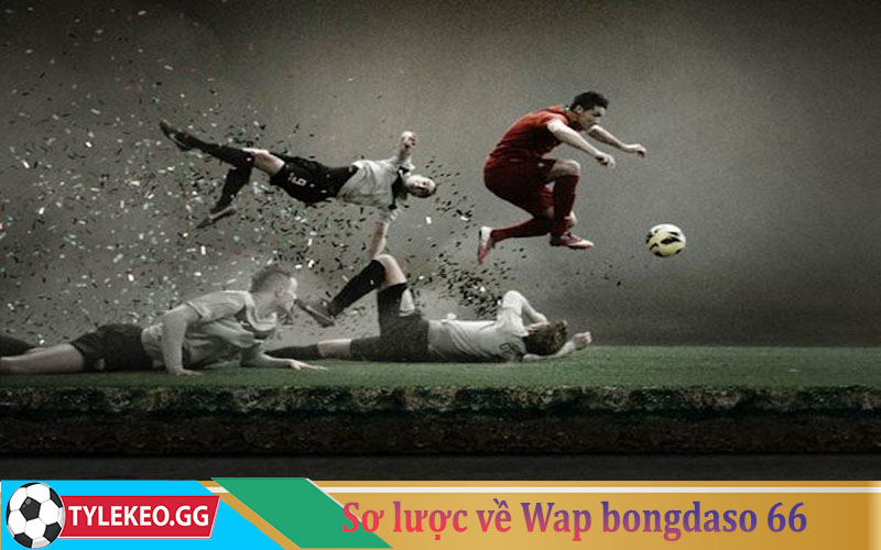 Giới thiệu sơ lược về wap bongdaso 66