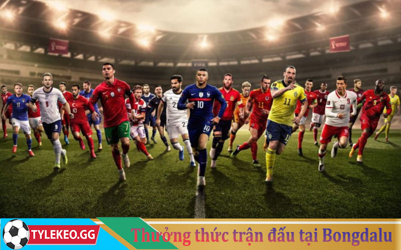 Thưởng thức trận đấu